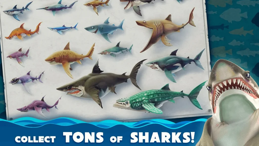 Lots of Shark